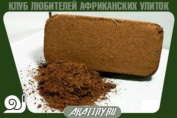 kokosovij-substrat-dlya-ulitki-3059511