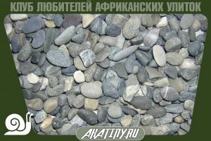 galka-dlja-ulitki-300x200-2295525