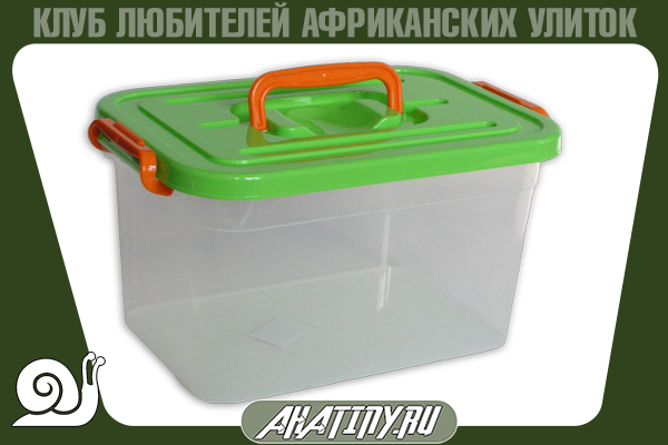 terrarium-dlya-ulitki-5355773